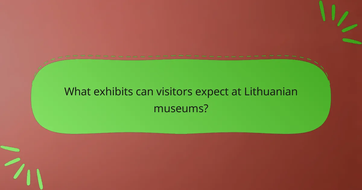 What exhibits can visitors expect at Lithuanian museums?