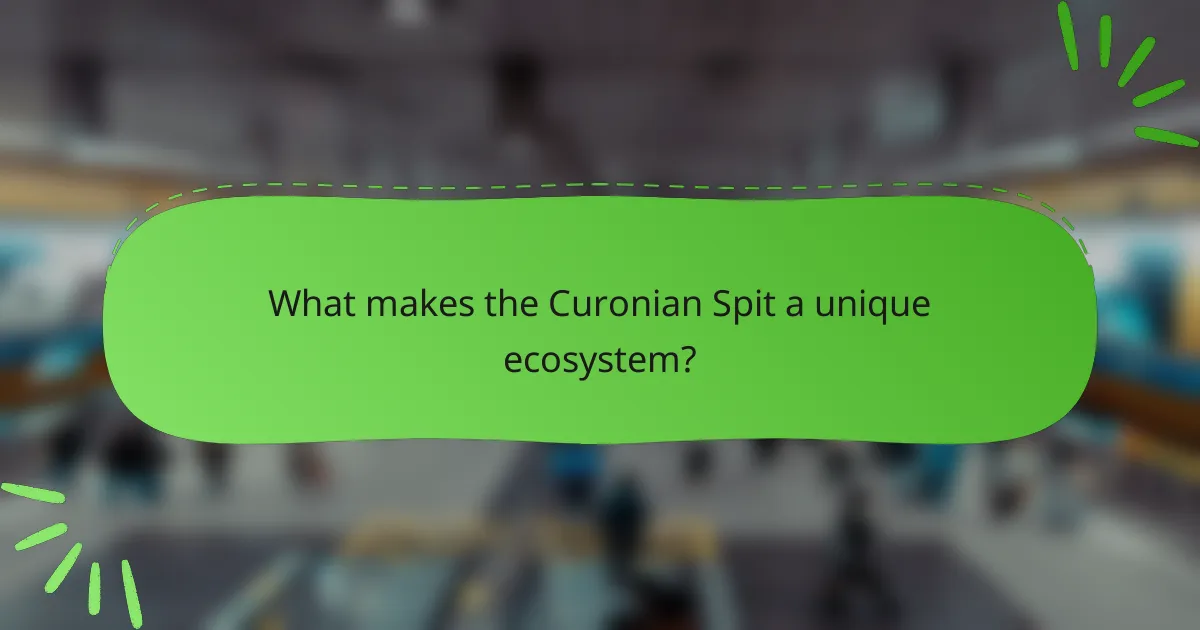 What makes the Curonian Spit a unique ecosystem?